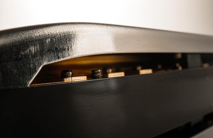 Hohner Special 20 Harmonica - Key of C Bundle with Key Stickers, Plastic Case, Instructional Manual, and Austin Bazaar Polishing Cloth