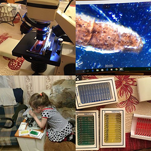 60Pcs Prepared Microscope Slides Specimen Animals Insects Plants Flowers Sample Biological Specimen, Stereo Microscope Slide for Kids Children Students Enlighten Education