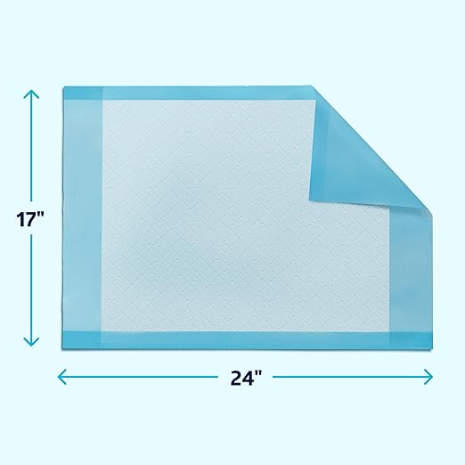Medline Chucks Pads, Disposable Changing Pads for Baby, 17x24, 300 Count, Chucks Pads, Pee Pads, Disposable Underpads for Incontinence, Diaper Pads, Pee Pads for Babies