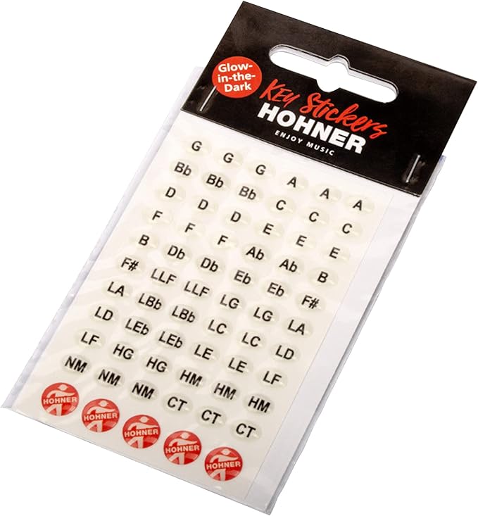 Hohner Special 20 Harmonica - Key of E Flat Bundle with Carrying Case, Key Stickers, Harmonica Beginner Online Manual, and Austin Bazaar Polishing Cloth