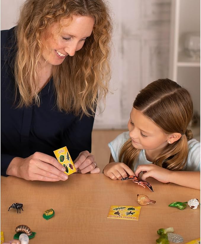 Insect Lore's Life Cycle Figurines 24 Pc Set | Butterfly, Ladybug, Frog, Honey Bee, Ant and Praying Mantis | 4 Stages Per Insect, 24 Figurines Total