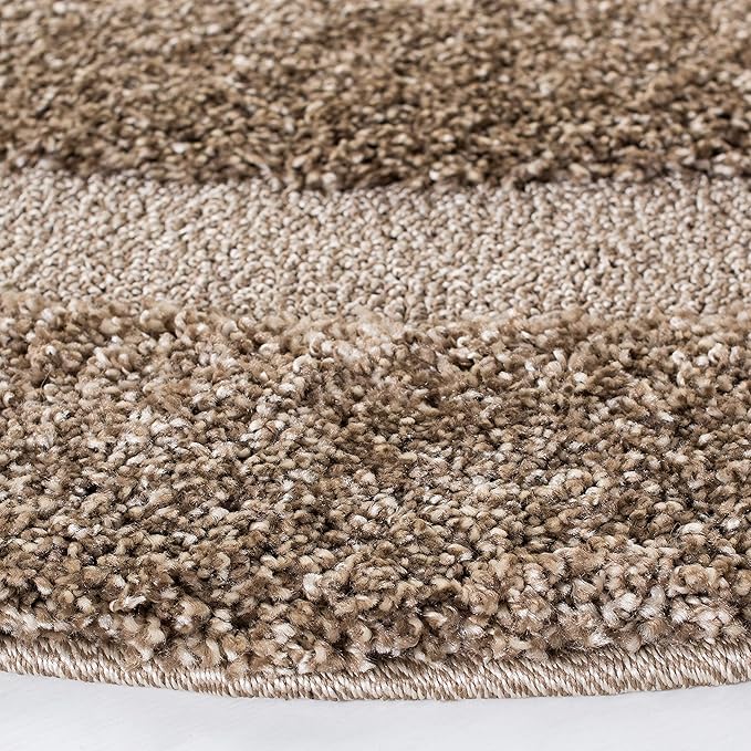 SAFAVIEH Florida Shag Collection Area Rug - 5' Round, Grey & Grey, Border Design, Non-Shedding & Easy Care, 1.2-inch Thick Ideal for High Traffic Areas in Living Room, Bedroom (SG454-8080)