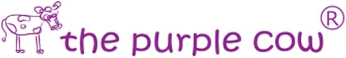 The Purple Cow Crazy Scientist Lab Magical Mirrors Science Kit