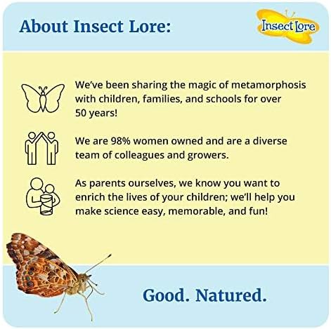 Insect Lore Bug Camp Bundle - Butterfly Kit with 5 Live Caterpillars, Ladybug Land with 1 Tube Live Larvae, Ant Mountain with 1 Tube Live Western Harvester Ants - Bonus Life Cycle Figurines & More