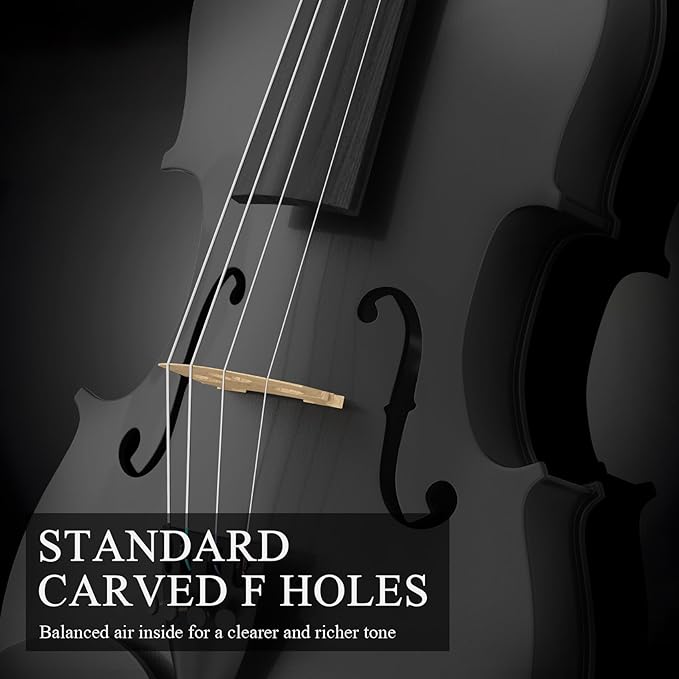 3/4 Beginner Violin Kit,Complete Violin Set with Case, Bow, Rosin,Black