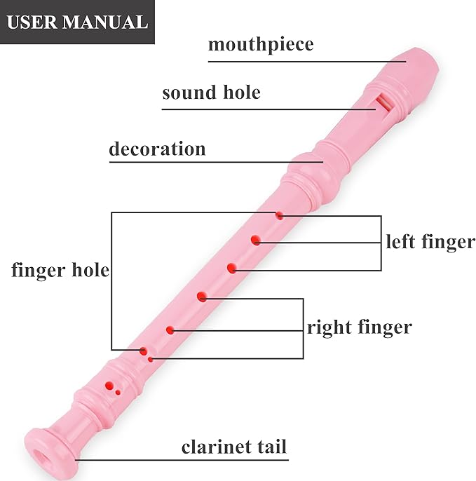 Recorder Instrument for Beginner Kids Adults,8-Hole Soprano Descant Recorder Music Flute with with Cleaning Rod & Leather Case For School Student Home Entertainment(2-Flamingo)