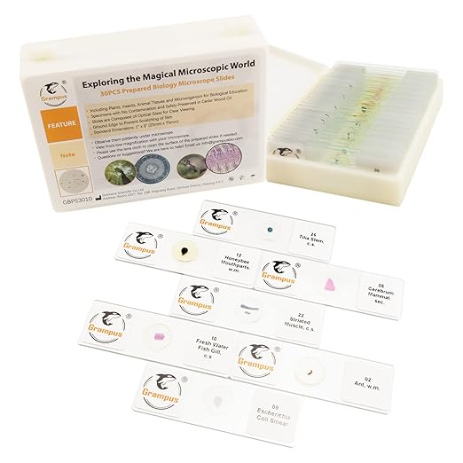 30 Prepared Microscope Slides with Specimens for Kids Students - Animals Plants Insects Microorganism, for Biological Science Lab, Children's Science Education, Homeschool