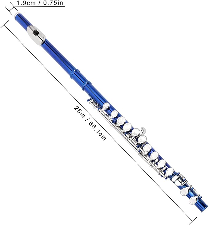EASTROCK Closed Hole Flutes C 16 Key for Beginner, Kids, Student -Silver Nickel Flute with Case Stand and Cleaning kit (Blue)