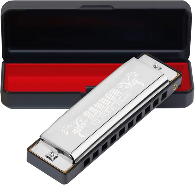 Randon Silver Harmonica Key of C, 10 Holes Diatonic Harmonicas for Adults/Kids/Beginners, Blues Harmonica as Gift, with Case, Clean Cloth and Manual