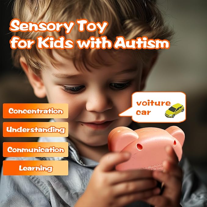 Talking Flash Cards for Kids - French Bilingual English Flashcard for Toddlers 3-12, Test Mode, 510 Sight Words, Audible Pocket Speech, Sensory Toys for Autism, Boys Girls Gifts (French)