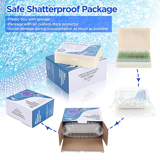 30 Microscope Slides with Specimens, Prepared Microscope Slides Set with Plants Animals Insects for Adults Students Homeschool Basic Biological Science Education