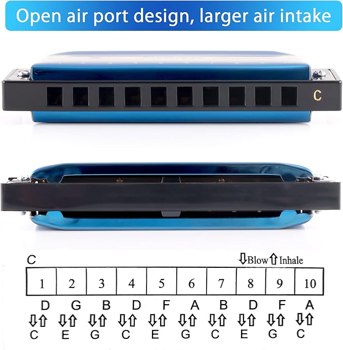 SWAN Blues Harmonica Key of C Mouth Organ Diatonic Harmonica with Case, 10 Hole 20 Tones Stainless Blues Harp for Adults, Beginners and Professional (Sapphire Blue)
