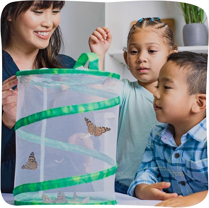 Insect Lore Raise and Release Butterfly Garden Kit – Caterpillar Habitat with redeemable Voucher – STEM-accredited Live Butterfly Growing Kit for Kids, Classrooms, and Homeschool Learning
