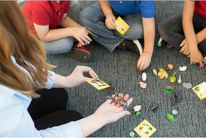 Insect Lore's Life Cycle Figurines 24 Pc Set | Butterfly, Ladybug, Frog, Honey Bee, Ant and Praying Mantis | 4 Stages Per Insect, 24 Figurines Total