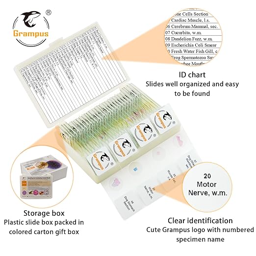 30 Prepared Microscope Slides with Specimens for Kids Students-Animal and Plant Microscope Slide Sets - Random Delivery (Either One Set) for Biological Lab, Children's Science Education, Homeschooling