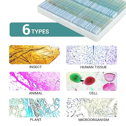 100 Microscope Slides with Specimens for Kids and Adults, Prepared Microscope Slides with Plants Animals Insects for Students Homeschool Edu