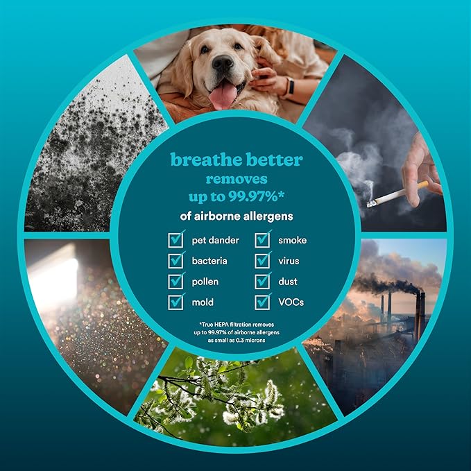 Homedics Smart Air Purifier 4-in-1 Tower for Large Rooms, Up To 1570 sq ft, True HEPA Filtration, UV-C Technology, Activated Carbon Odor Filter, Reduces Bacteria, Virus, VOCs, Wi-Fi and Voice Control