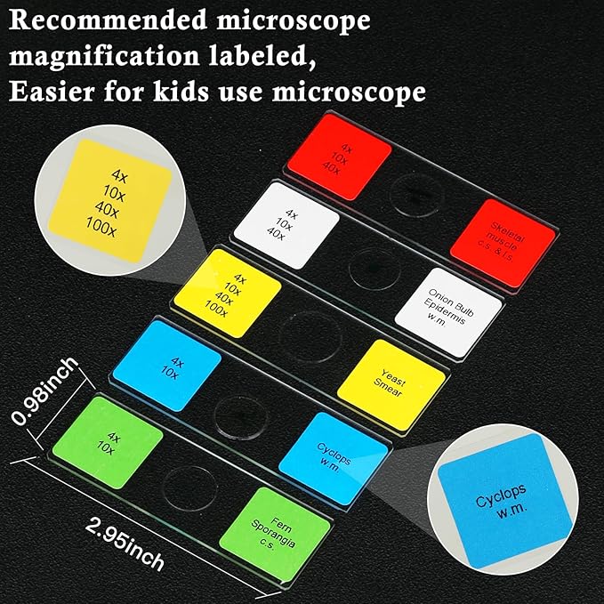Microscope Slides with Specimens for Kids, 60 Lab-Grade Prepared Microscope Slides, Animal/Plant/Microbe/Tissue Samples, STEM Biology Kit for Homeschool, Classroom Labs & Science Education