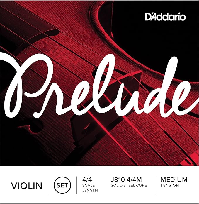D Z Strad Violin Model 100 half size with Solid Wood with Case, Bow, and Rosin (1/2 - Size)