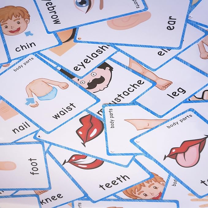 SANTSUN 36 Pieces of My Body Parts Flash Cards for Toddlers- The Flash HolePunched- So You can sort and Organize The Cards Easily and Early Learning Kindergarten Teacher Tools