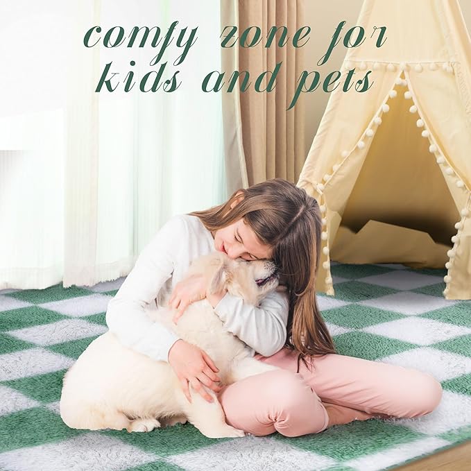 Super Soft Rug for Bedroom, 5x7 ft Sage Green and White Area Rug Classic Checkered Shaggy Anti-Skid High Pile Soft Fluffy Rug Fuzzy Carpet for Living Room Bedroom Kids Room Nursery, Dorm