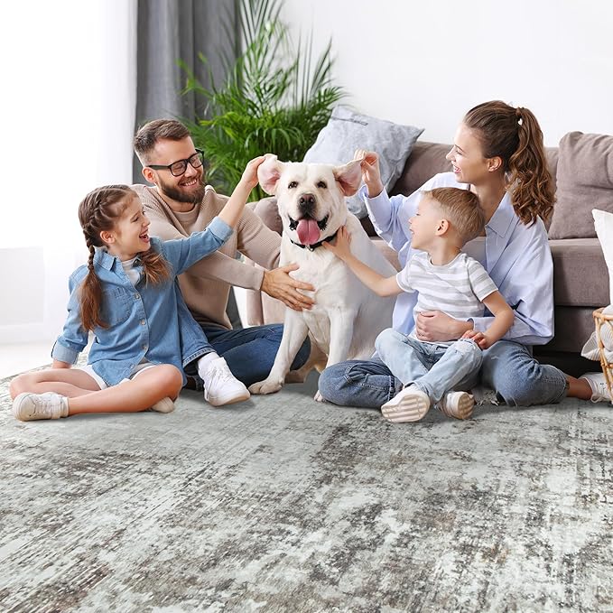 9x12 Area Rugs for Living Room Rug Washable: Modern Large Rug for Dining Room Bedroom Carpet Non Slip 9 by 12 Indoor Abstract Nursery Home Office Brown Grey