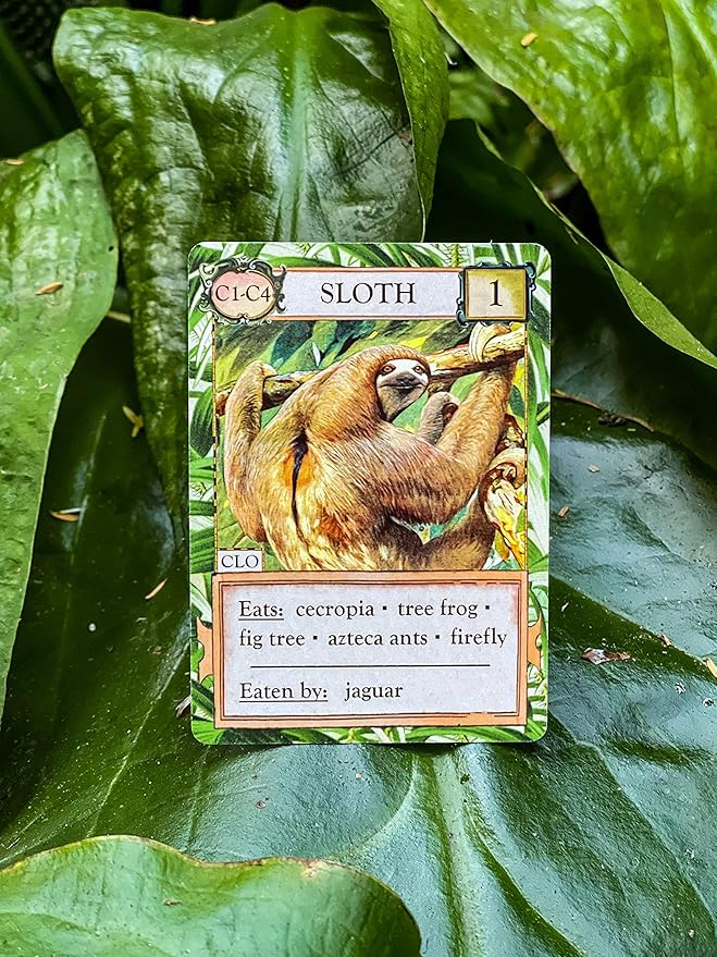 Ecologies: Hidden Habitats - Use Science to Build Food Webs in 7 Biomes - Beautiful Vintage Nature Art for The Classroom or Game Night